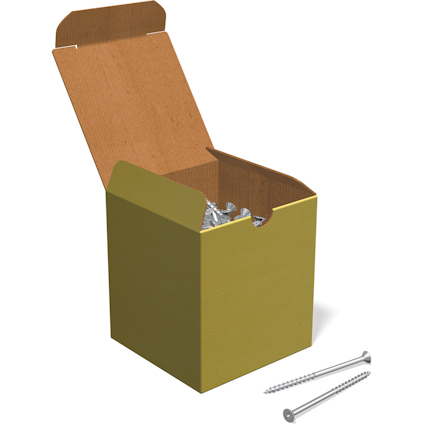 Öppen kartong fylld med silverfärgade skruvar, med två skruvar placerade bredvid kartongen.